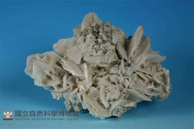 石膏藏品圖，第1張