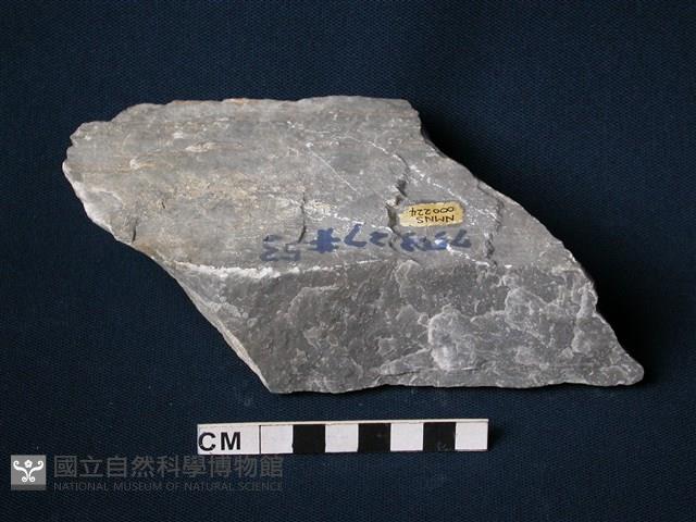 大理岩藏品圖，第1張