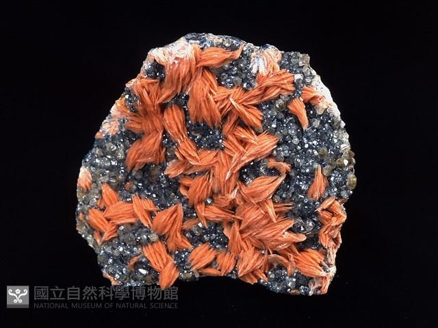 重晶石/方鉛礦藏品圖，第1張