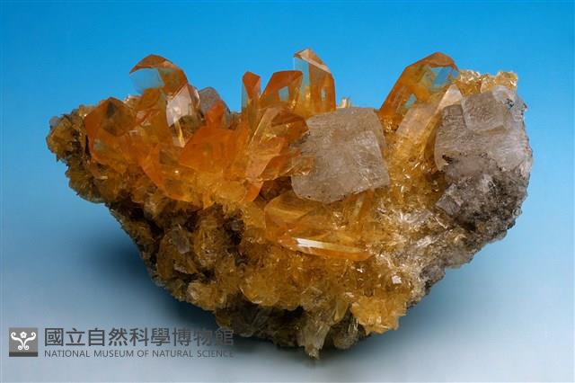 石膏 藏品圖，第1張