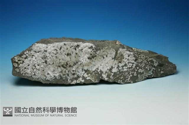 石膏藏品圖，第1張