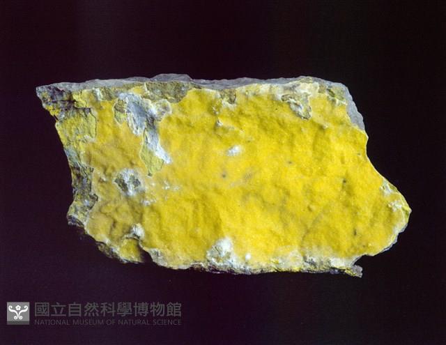 釩鈣鈾礦 藏品圖，第1張