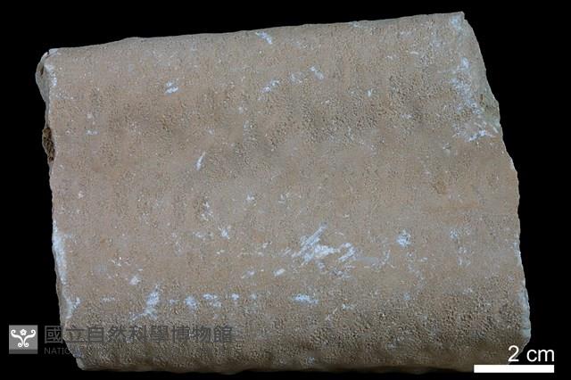鐘乳石藏品圖，第1張