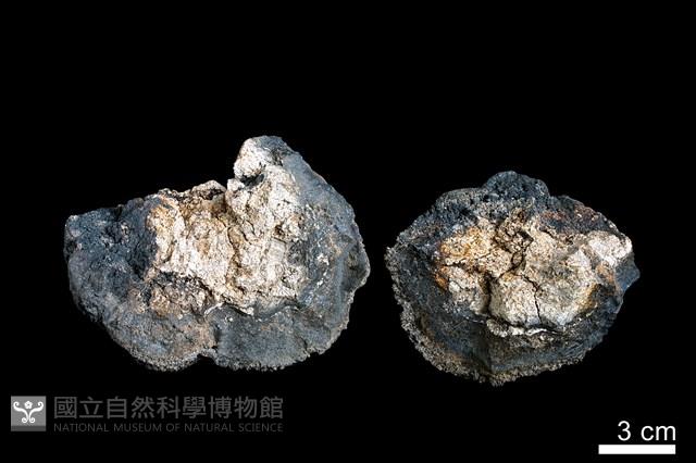 錳核藏品圖，第1張