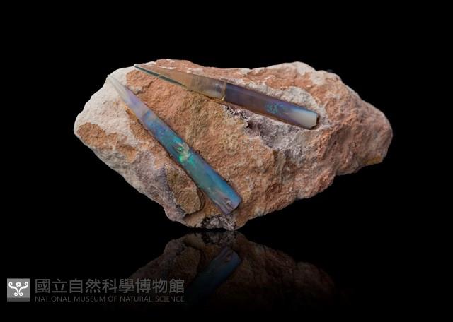 蛋白石藏品圖，第1張