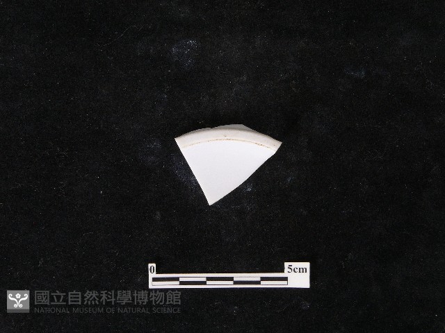 瓷片藏品圖，第2張