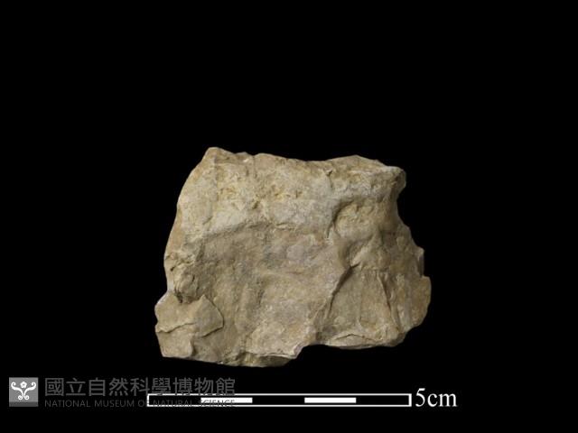 石材藏品圖，第1張