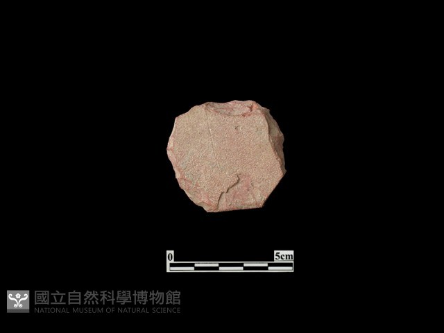 玩具藏品圖，第1張