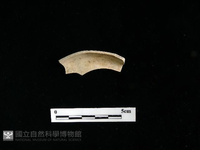 陶片藏品圖，第2張