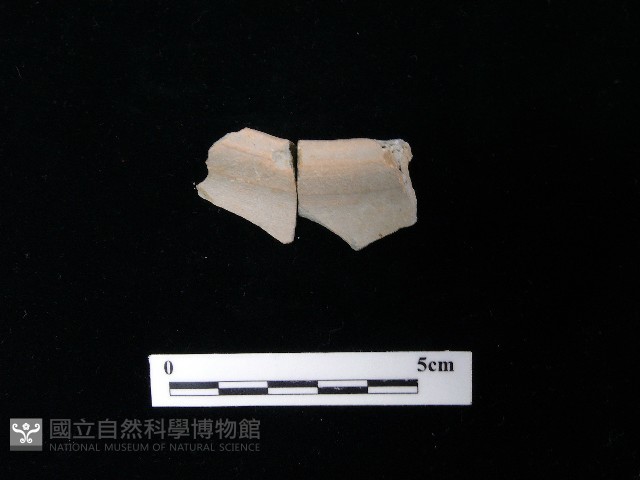 陶片藏品圖，第2張