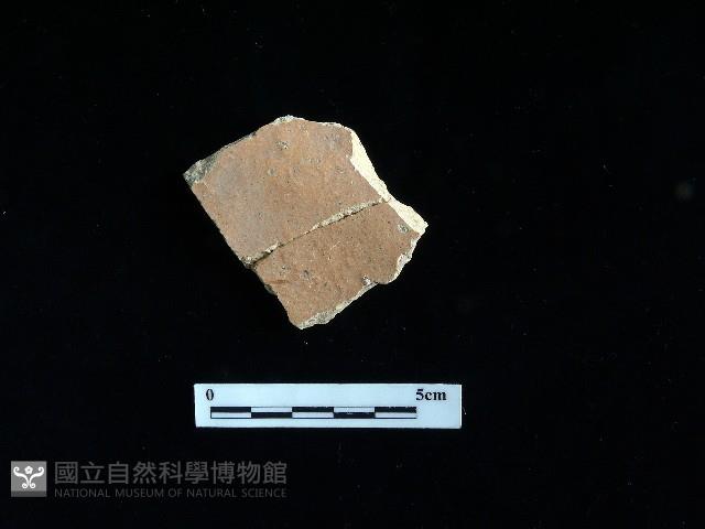 陶片藏品圖，第2張