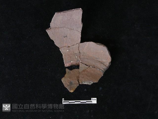 陶片藏品圖，第1張