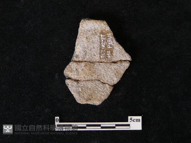 陶片藏品圖，第2張