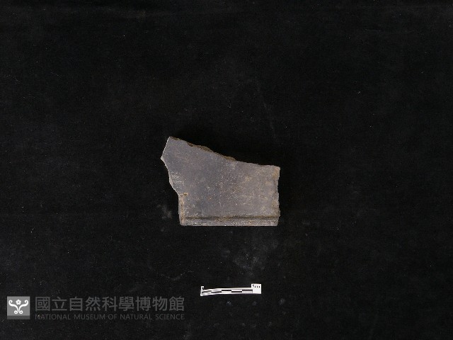 瓦片藏品圖，第2張