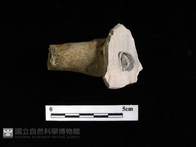 壺嘴藏品圖，第1張