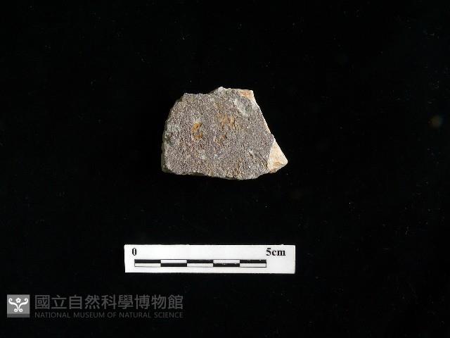 陶片藏品圖，第1張