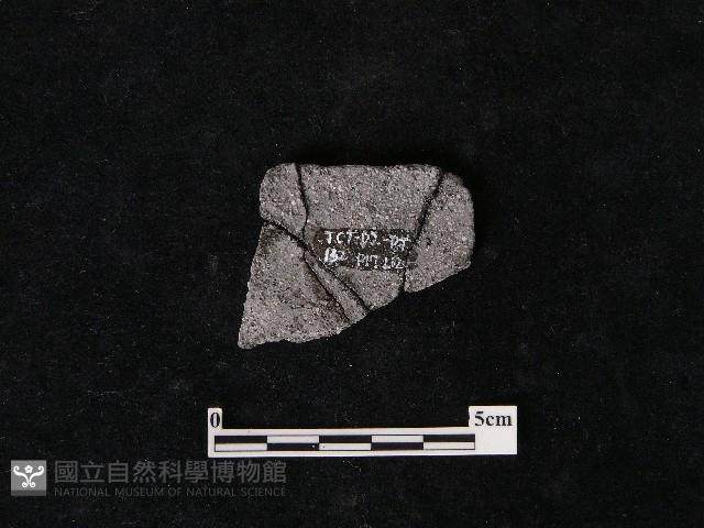 陶片藏品圖，第1張