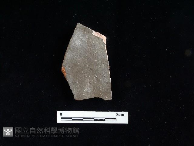 陶片藏品圖，第1張