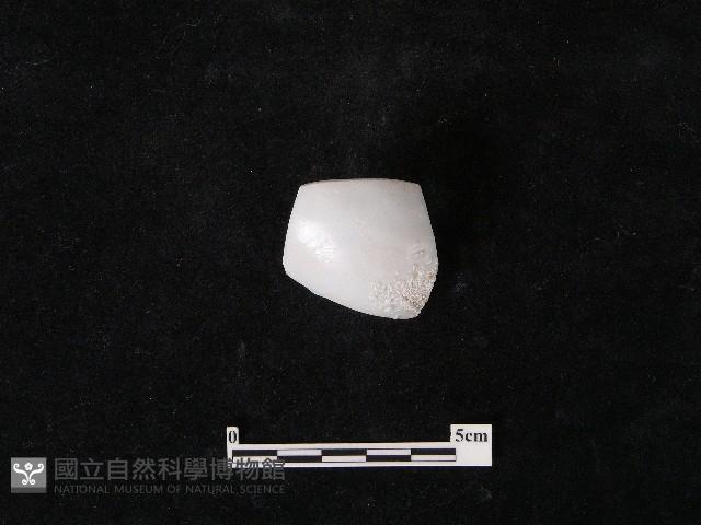 湯匙藏品圖，第1張