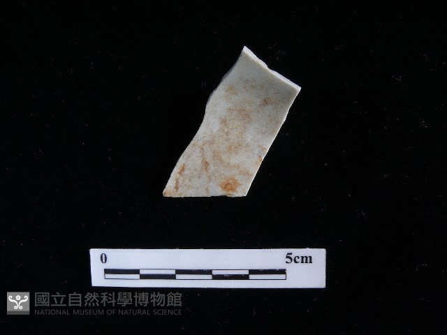 瓷片藏品圖，第1張