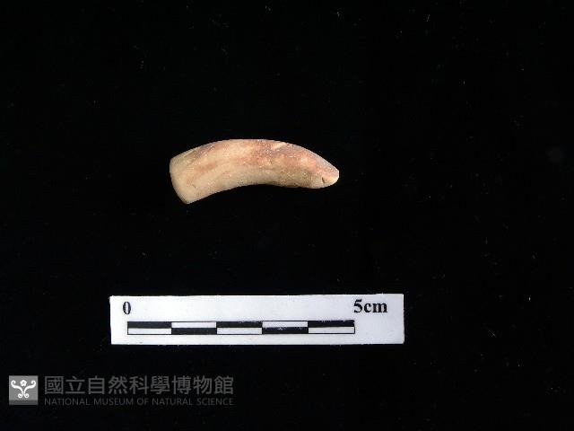陶把藏品圖，第1張