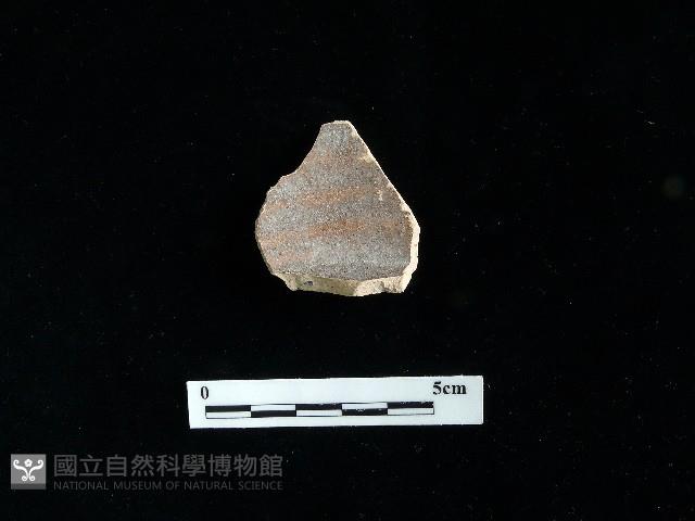 陶片藏品圖，第1張