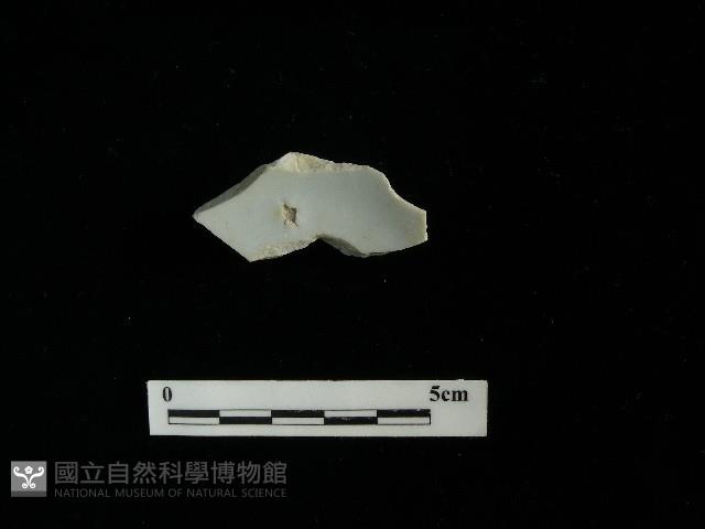 瓷碗藏品圖，第1張