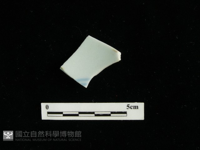 瓷片藏品圖，第2張