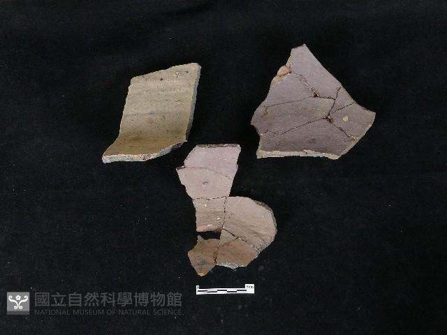 陶片藏品圖，第1張