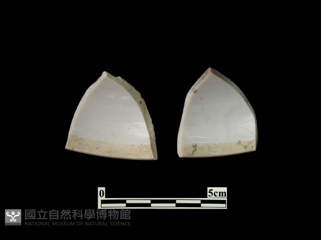 帶紋飾瓷片藏品圖，第1張