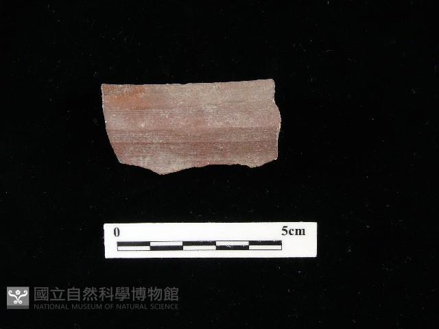 陶片藏品圖，第1張