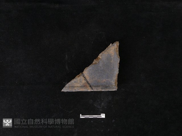 瓦片藏品圖，第2張