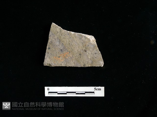 陶片藏品圖，第2張