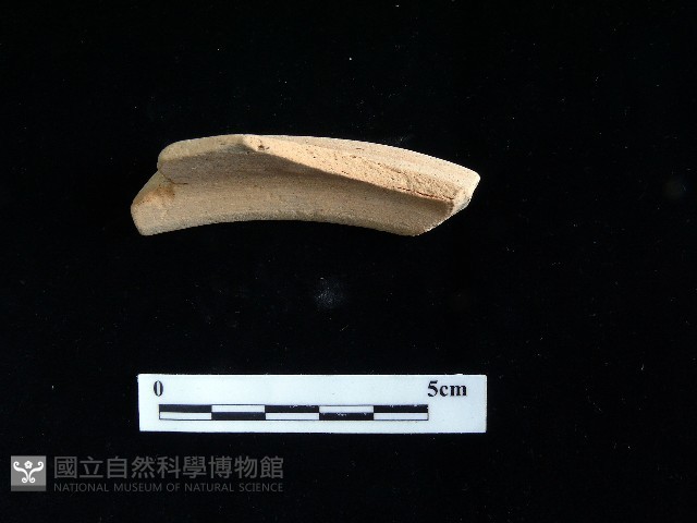 陶片藏品圖，第1張