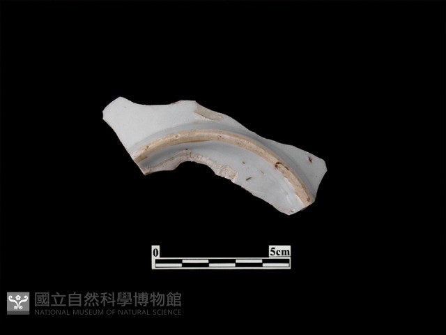 帶紋飾瓷片藏品圖，第1張