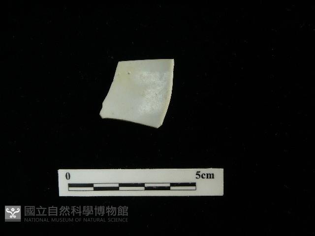 瓷片藏品圖，第2張