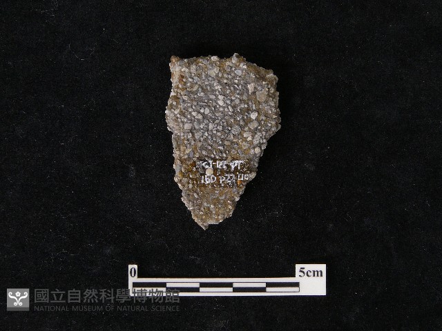 陶片藏品圖，第2張
