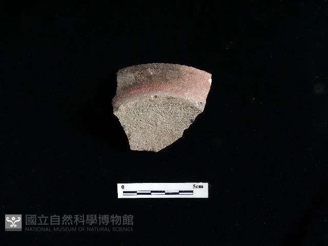 陶片藏品圖，第2張