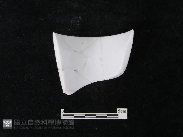 瓷片藏品圖，第1張