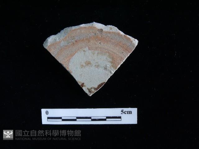 Accession Number:TGPC-4-PC161 Collection Image, Figure 1, Total 2 Figures