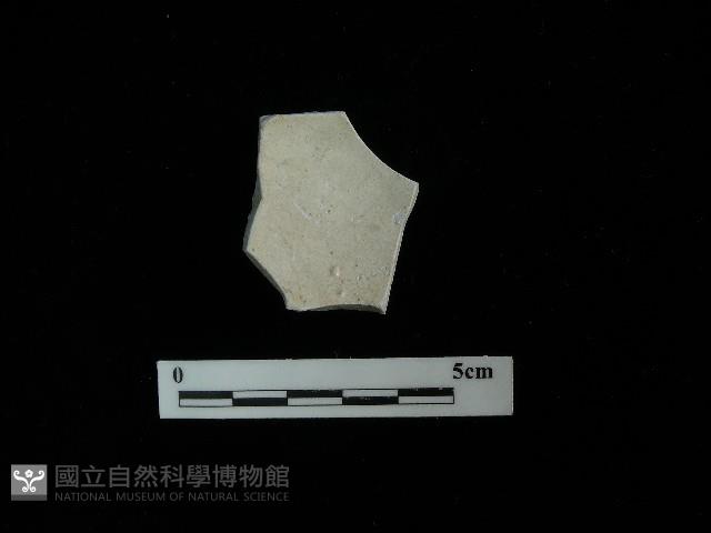 瓷片藏品圖，第1張