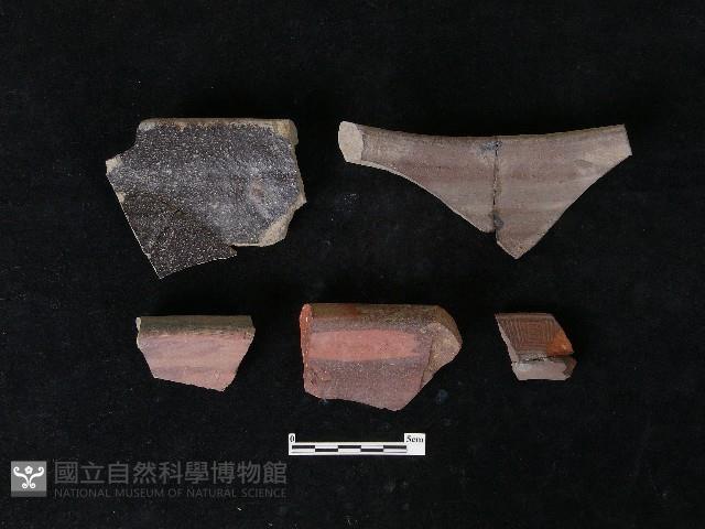 Accession Number:TCT-E2-SW001 Collection Image, Figure 2, Total 2 Figures