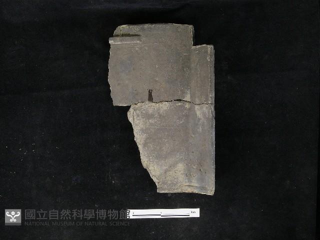 瓦片藏品圖，第3張