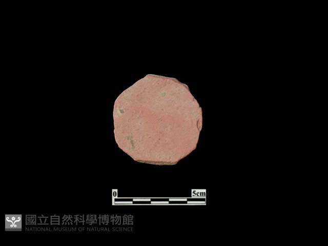 玩具藏品圖，第1張