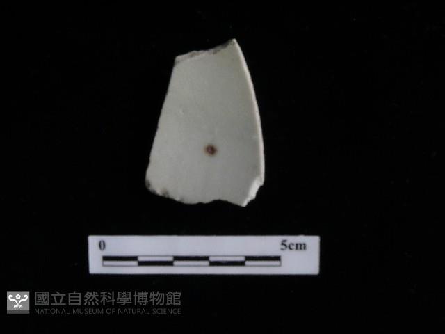 瓷片藏品圖，第2張