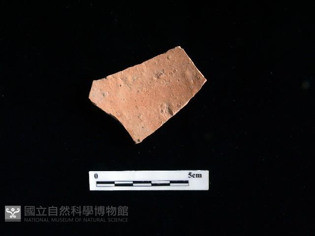 陶片藏品圖，第1張