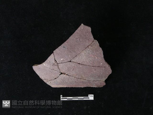 陶片藏品圖，第3張