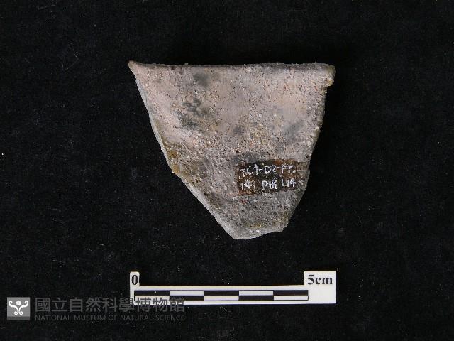 陶片藏品圖，第1張