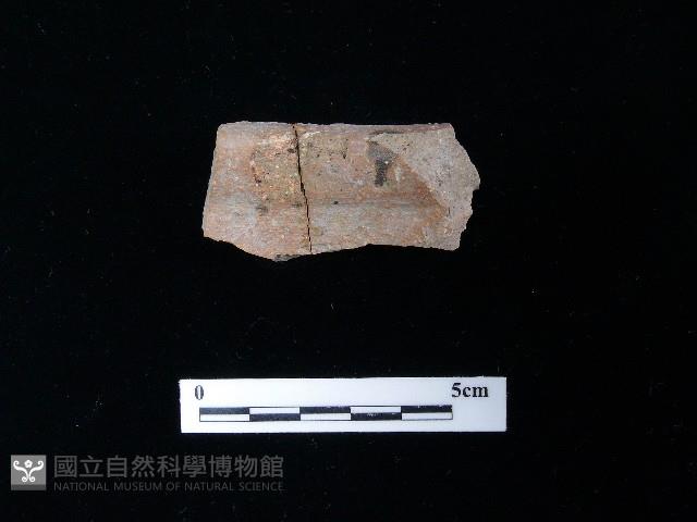 Accession Number:TGPC-4-SW011 Collection Image, Figure 1, Total 2 Figures