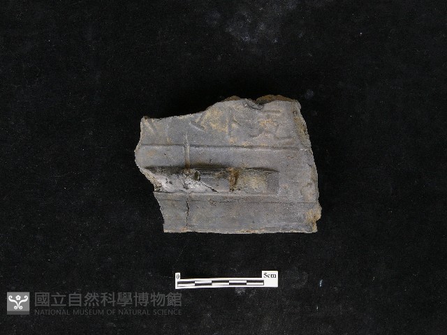 瓦片藏品圖，第2張